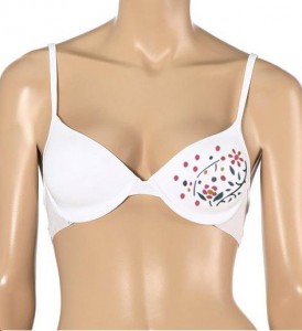 doodle-bra1 doodle-bra1